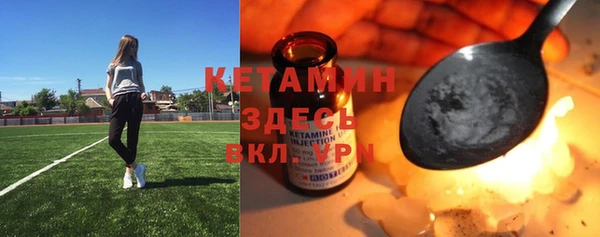 прущие грибы Богородск