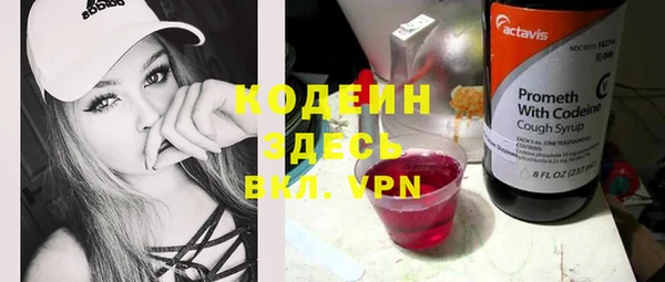 прущие грибы Богородск