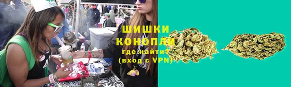 сатива Богданович