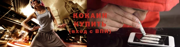 прущие грибы Богородск
