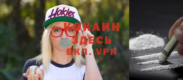 прущие грибы Богородск