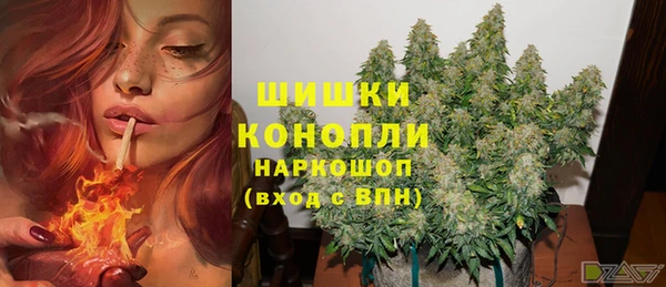 сатива Богданович