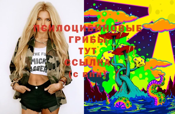 mdma Богородицк