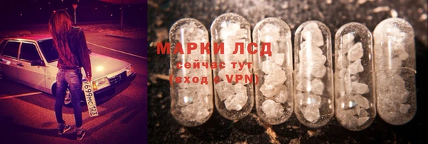 прущие грибы Богородск