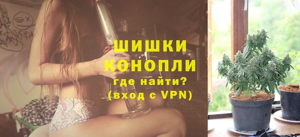 прущие грибы Богородск
