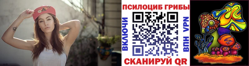 MEGA ссылка  Высоцк  Псилоцибиновые грибы Cubensis  закладка 